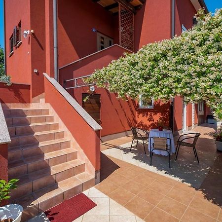 Iva House With Apartment Umag Exteriör bild